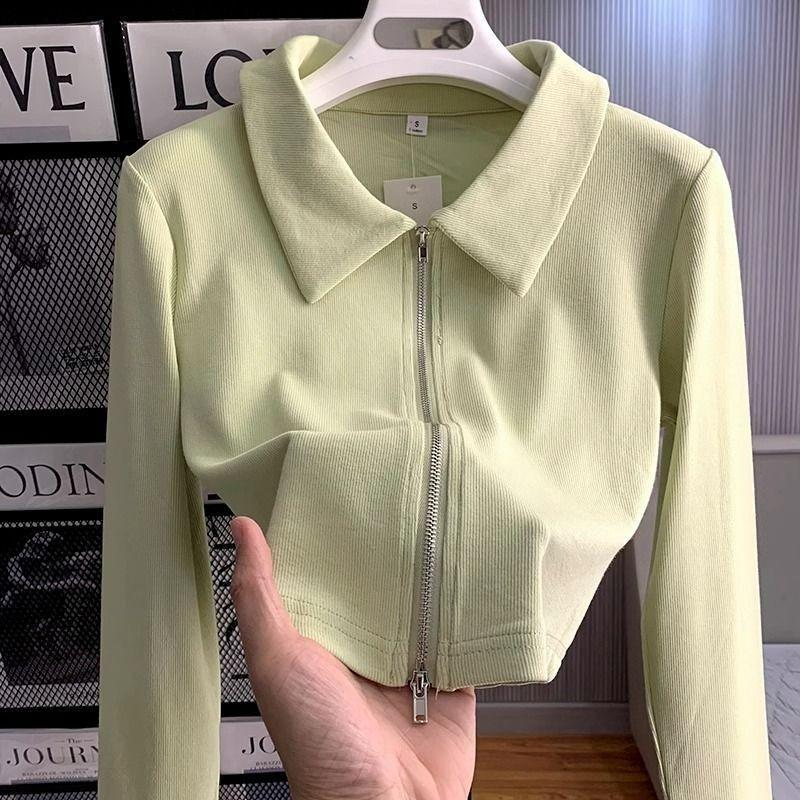Zipper Lapel Cardigan Spring and Autumn Short Top Jacket
