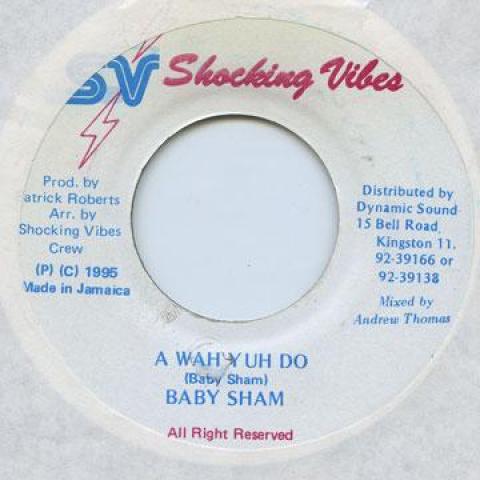 

7-дюймовая пластинка BABY CHAM - A Wah Yuh Do Shocking Vibes 1995 Ямайка Регги, Ска и Даб