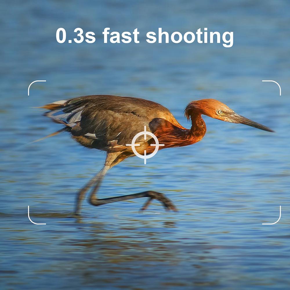 Wildkamera 24MP 1080P Nachtsicht Bewegungsaktivierte wasserdichte WiFi-Trail-Cam mit 1/3 Zoll