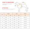 Summer Pet Clothes Sunscreen Dog Clothing for Dogs Yorkshire Shih Tzu Shirts Puppy Cat Vest Tshirt Dog Hoodie Ropa Para Perro