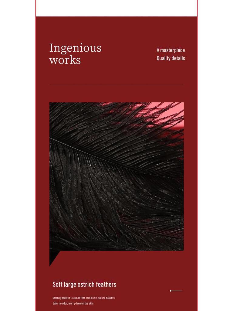 Miji 48-Piece Ostrich Feather Teaser Stick Set for Couples