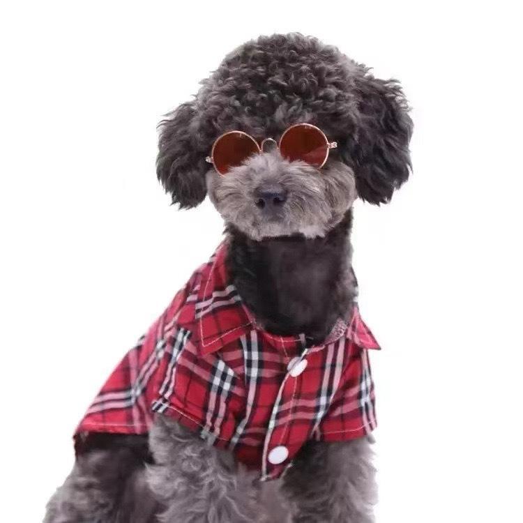 Round glasses cat sunglasses UV protection glasses trendy cool accessories metal glasses pet supplies sunglasses
