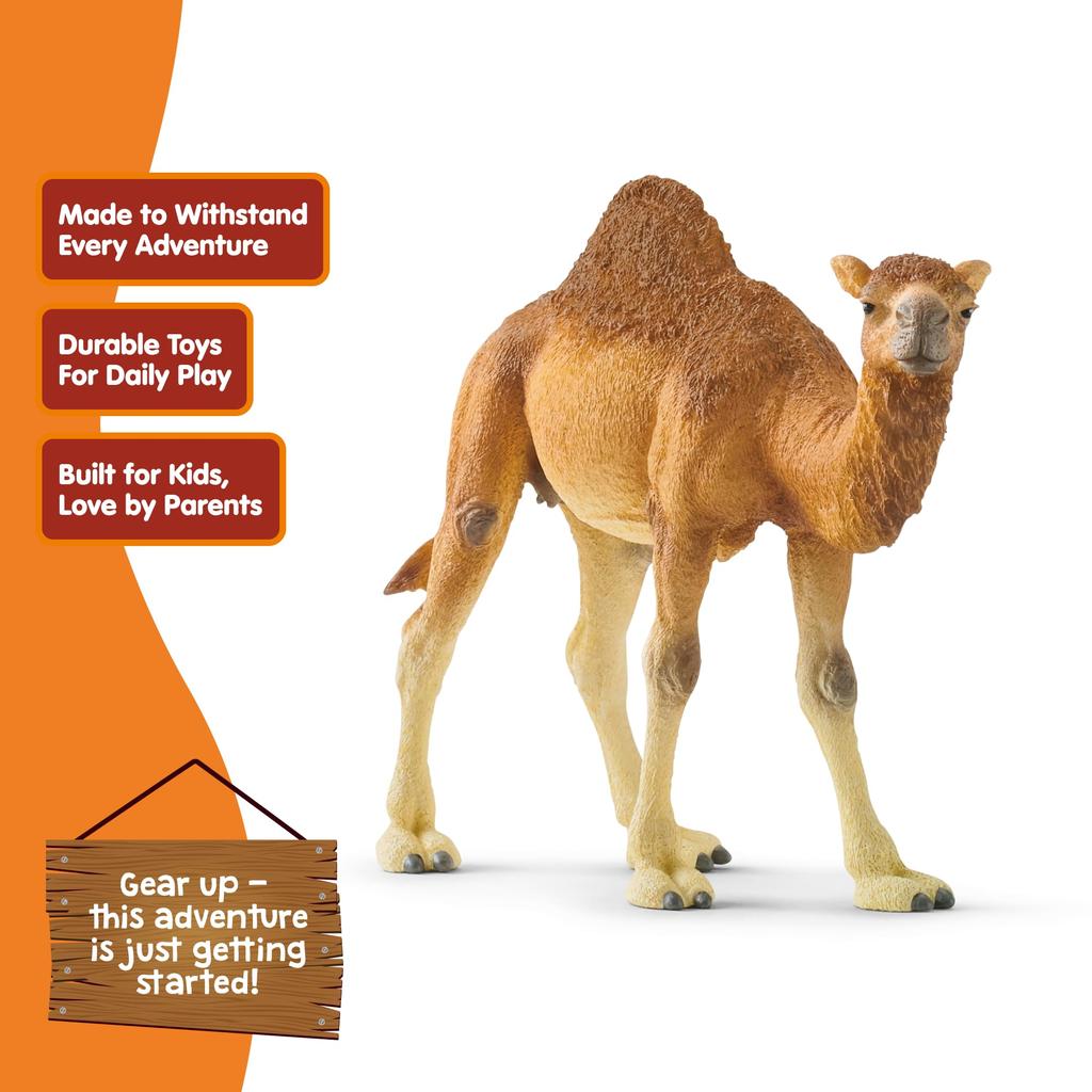Schleich Wildlife Dromedary Figure 14832