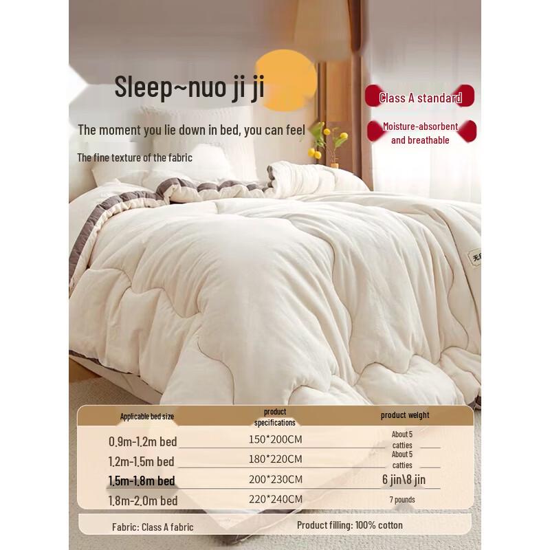 Muji Class A Xinjiang Pure Cotton Quilt