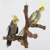 Holz Vogel Sitzstange Stand Aktivitätszentrum Papageien Sitzstange Plattform Holzständer Spielzeug für Kongas Nymphensittiche Wellensittiche Aras Liebesvögel
