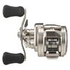 Daiwa Baitcasting Reel 26RYOGA SV 100L (DAIWA)