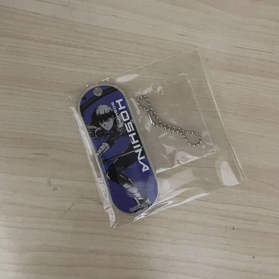 

Hoshina Acrylic Keyring