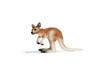 Schleich Wildlife Kangaroo Figure 14608 (baby)