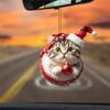 With 24 Cat Pendants Cat Advent Calendar Acrylic 24 Days Christmas Countdown Calendar