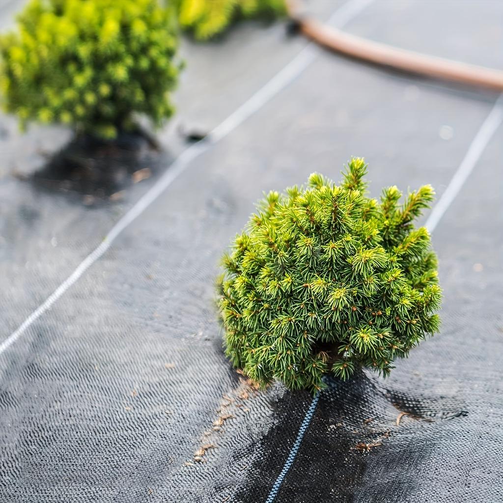 Czarna Wytrzymała Tkanina Ogrodowa - Bariera na Chwasty i Pokrywa Gruntu do Kwiatów, Warzyw, Podwyższonych Grządek, Trawników i Podwórek