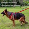 Traction P-Chain Dog Leash for Medium & Large Dogs - No-Strangle Handle, Corgi Pet Tactical Chain Leash