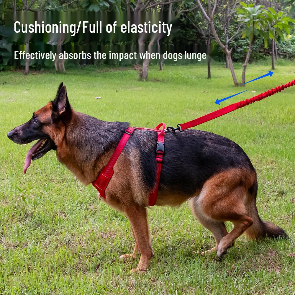 Traction P-Chain Dog Leash for Medium & Large Dogs - No-Strangle Handle, Corgi Pet Tactical Chain Leash