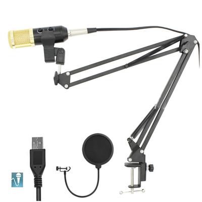 BM-900 MK-F600TL Reverberation Condenser Microphone Free Independent Sound Card Free Drive