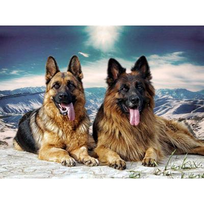 Pittura Diamante Punto Croce Diamante Decorazione Casa Due Cani Mosaico di Strass Completo Ricamo Diamante