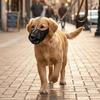 Comfortable Breathable Mesh Dog Muzzle Adjustable Strap Washable Dog Face Cover PVC Puppy Mouth Cover Pet Supplies