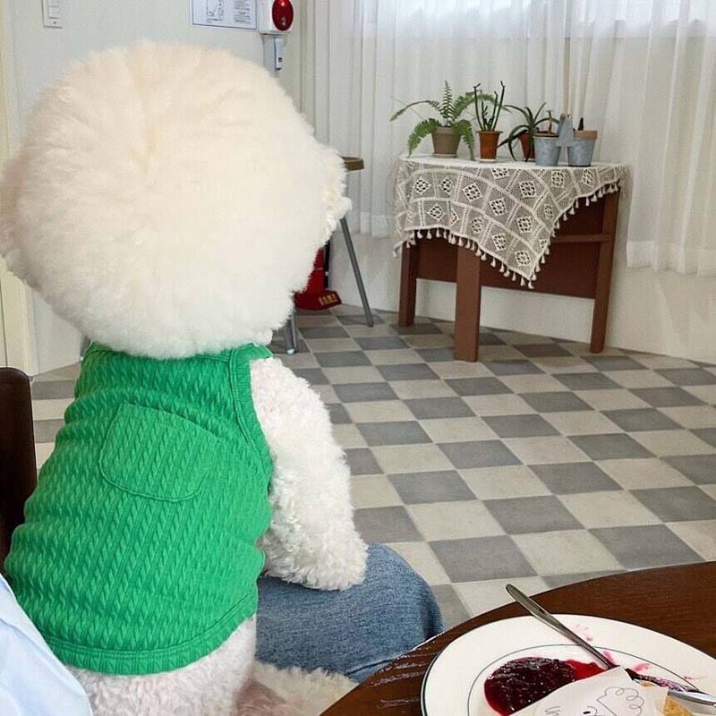 Summer Dog Vest Thin Breathable Pet T-Shirt for Small Medium Dogs Cats Soft Puppy Clothes Chihuahua French Bulldog Cotumes
