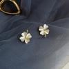 Silver Needle Korea Dongdaemun Temperament New Earrings Geometric Opal Earrings Fashion Versatile New Personalized Earrings