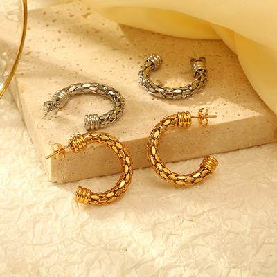 European and American Fashion Mesh Chain Round Stainless Steel Earrings Women's Trend 18K Gold Light Luxury Versatile Earrings