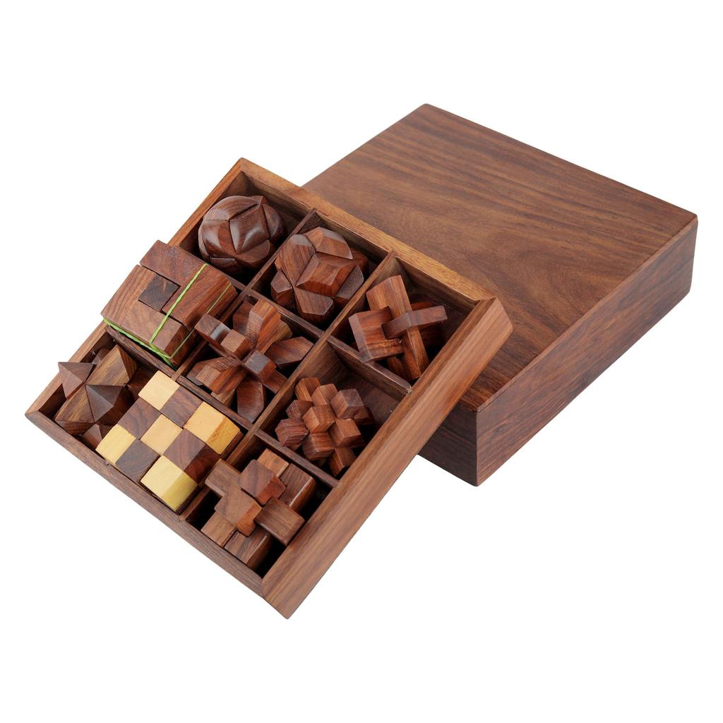 Shriji Crafts STEM Brain Teaser Puzzle Set, 9 Wooden Mechanical Puzzles,