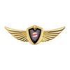 Metal Car Eagle Angel Wings Badge Trunk Fender Decoration Sticker For SEAT Leon Mk1 Mk2 Ibiza Arosa Ateca Altea Cordoba Cupra FR uio321