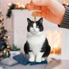 Creative 2d Acrylic Keychain Cute Driving Cat Pendant Home Tree Window Hanging Decor Gift Pet Lover Car Backpack Animal Ornamen
