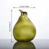 Simple Pomegranate Fruit Vase Transparent Hazelnut Flower Vase Hydroponic Home Decor Flower