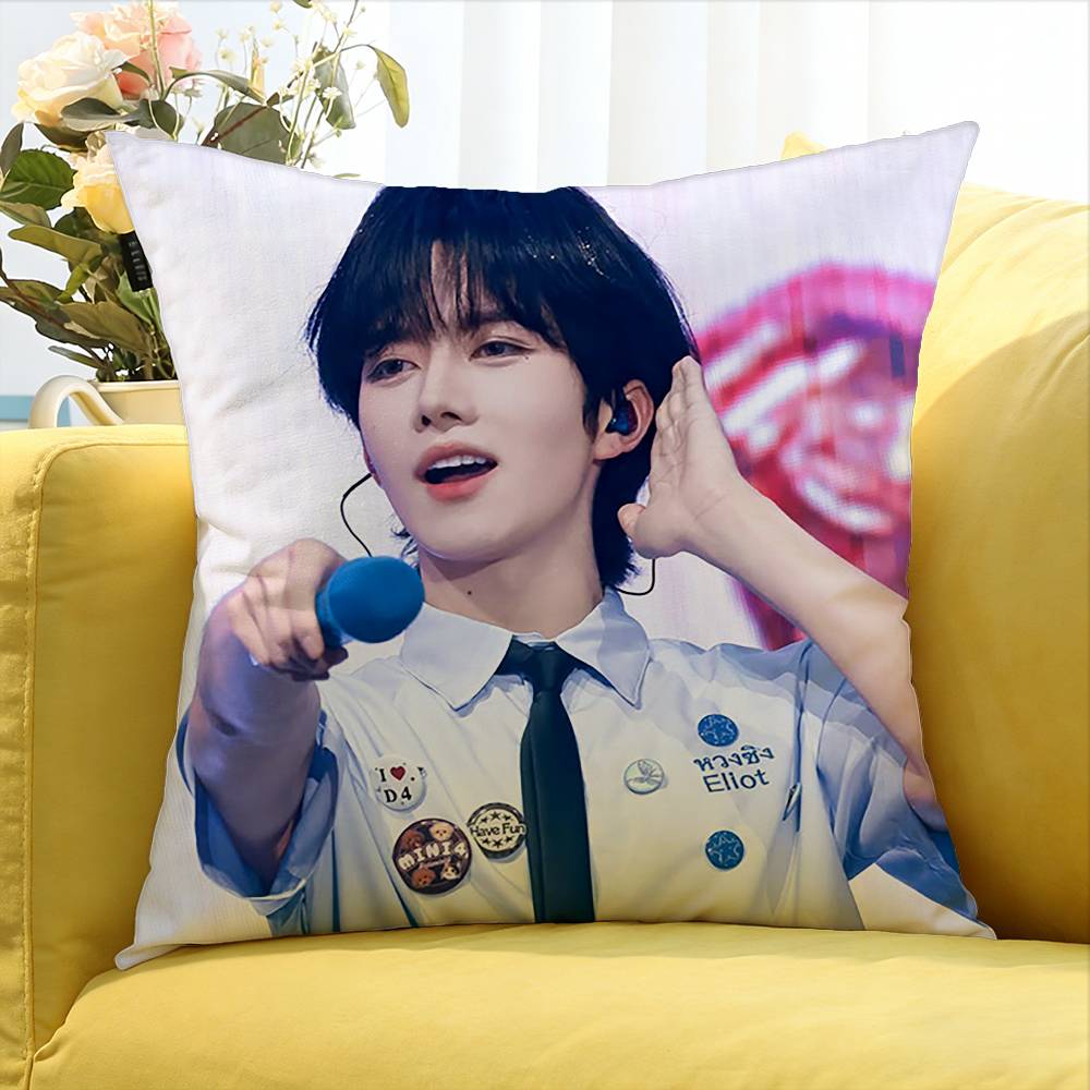 Huang Xing Eliot Huang D-Desire Various Sizes Square Pillow Case For Car Home Bedchamber Decor