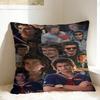 Joe Keery Steve Harrington Pillow Cover  Print Cushion Cover Kawaii Pillow Case For Wedding Party Home Decor