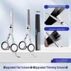 Professional Hairdressing Scissor Set