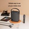 SHIDU H11 Portable Outdoor Bluetooth KTV Speaker CN plug (adapter included)