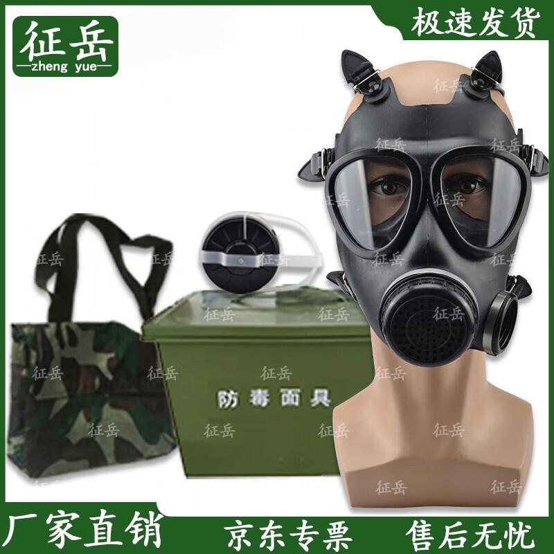Zhengyue FMJ05 Полнолицевая противогазовая маска, набор из 5 предметов