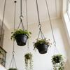 Robuste Aufhängeketten Mit Haken Für Pflanzen Blumen Topf Korb Ersatz Innen Außen Metallketten Aufhänger Großhandel