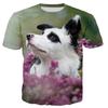 3D Leisure Printing Border Collie New Fashion Men/women T Shirt Tops Short Sleeve T-Shirt
