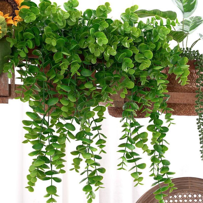 Leaf Plastic Eucalyptus Citriodora For Living Room Photo Backgrounds Wall Decor