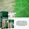 60ml Tinta para Gramado Corante Spray Tinta Grama Verde Para Gramado Amigo de Animais Spray Verde Grama Para Casa Jardim Quintal Gramado Spray de Verdejamento