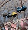 Nanbu Ironware Wind Chimes, Mount Fuji Design, Set of 3, with Booklet. Perfect for Summer Fashion, Interior Decor, Souvenirs, Gifts, and Accessories.