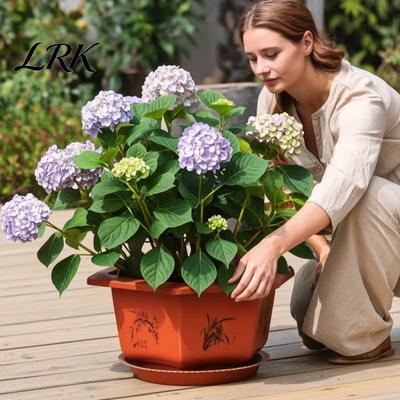 Elegant Hexagon Planters for Courtyard Hexagonal Flower Pot with Drainage Holes & Saucer Indoor Outdoor Plants, Durable Weather Resistant Large