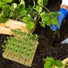 Seedling Grow Plug Sponge Block Starter Rock Wool Planting Grow Cubes Hydroponics Cuttings Garden Plant Propagation Grow Supply