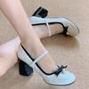 Fashion 2025 Spring and Summer French Thick Heel Mary Jane Shoes Women's Spring Light Mouth High Heels Bow Single Shoes