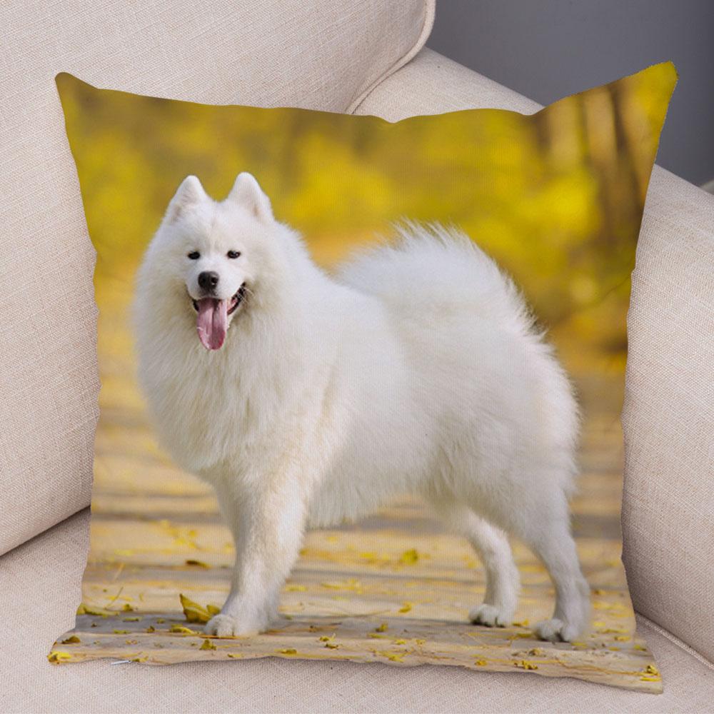 50 Stil Husă de Pernă Câine Alb Drăguț Samoyed Decor Husă de Pernă Animal de Companie Iubitor Husă de Pernă Moale de Pluș pentru Canapé Cameră Copii