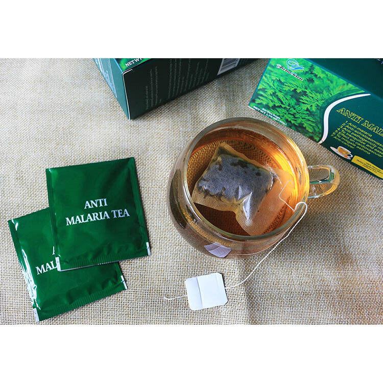 Anti-Malaria Tea Mitigates Asthma, Anti-Cacer Artemisia 20pcs