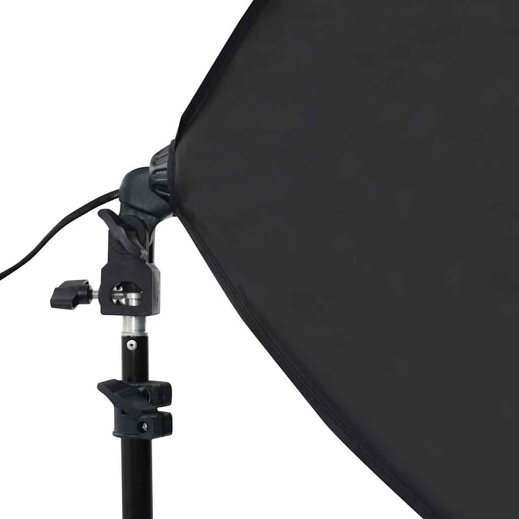 Professional Studio Lights 2 pcs 40x60 cm Steel Black
