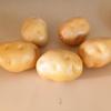 4PCS Decorative Artificial Potato Models Restaurant Photography Props Foam Texture for Photography and Teaching Tool