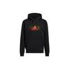 Sweatshirts Men's Black Hooded Moderate Regular HF4671