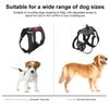 Recording Dog Harness Mount For Action Cameras Easy Clip On Design Adjustable Strap For 8-35kg Active Budding Pets