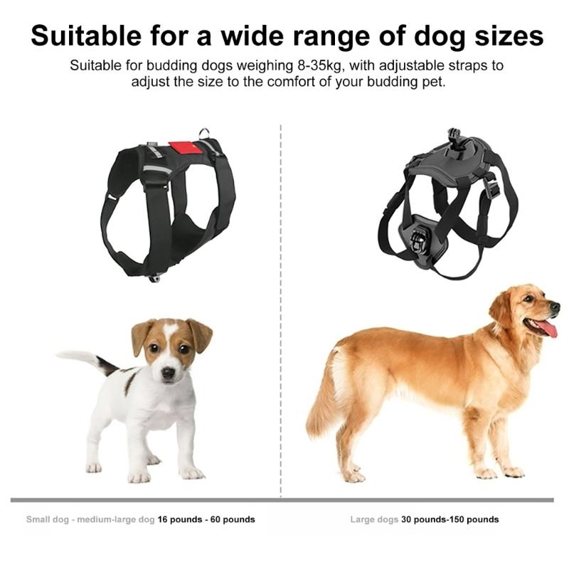 Recording Dog Harness Mount For Action Cameras Easy Clip On Design Adjustable Strap For 8-35kg Active Budding Pets
