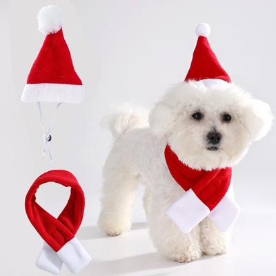Ropa y calzado – Accesorios para perros