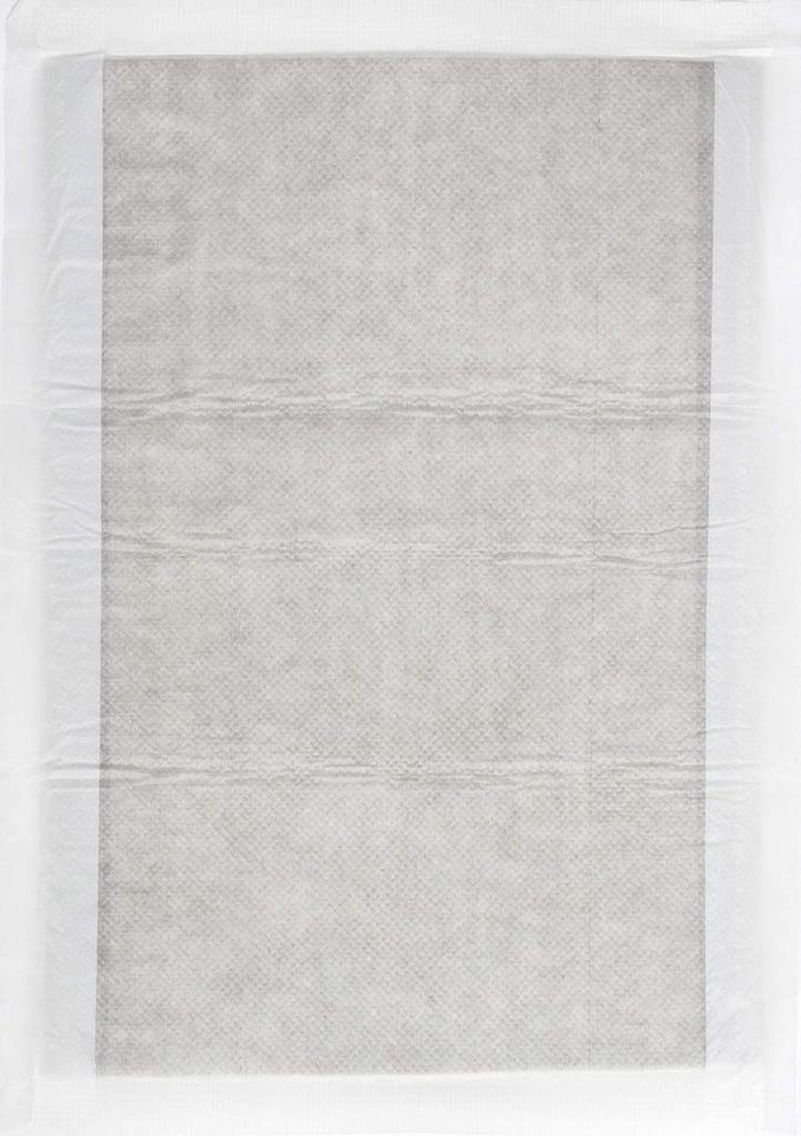 Petio Nyanyan Clear System Toilet Carbon Sheets for Cats (15 Sheets)