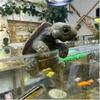 Simulation Turtle Ornament Cartoon Turtle Outdoor Garden Pool Landscaping Decoration Climbing Turtle HomeDecor Flower Pot Decor