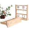 Solid Wood Jewelry Display Stand with Hooks - Earring, Lipstick, and Keychain Storage Rack